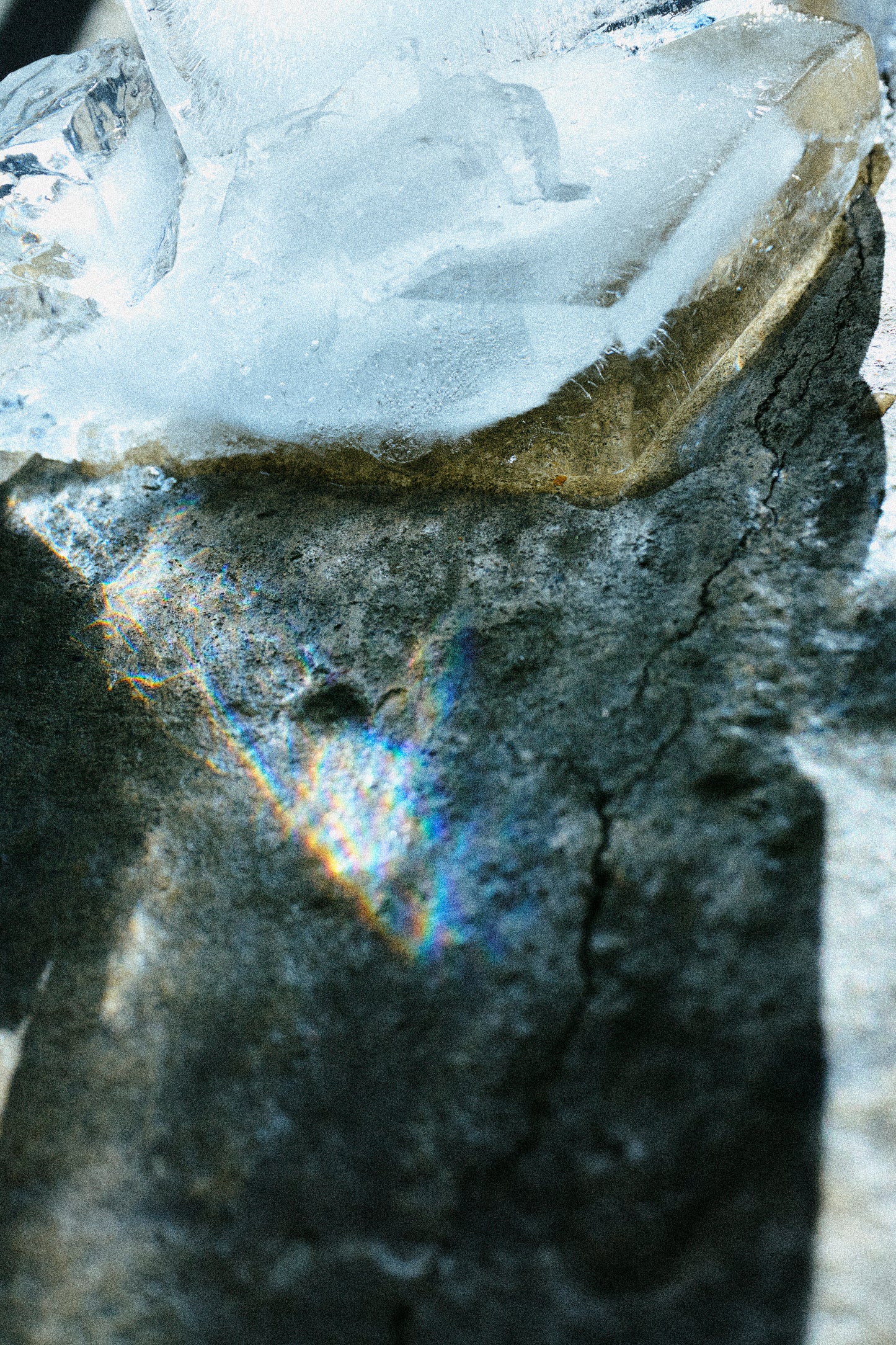 2025SS Huîtrox TOKYO fitting salon